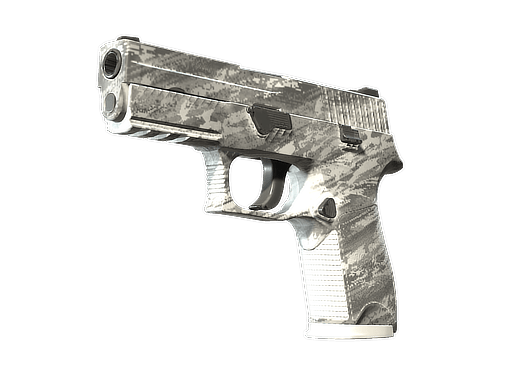 P250 | Sleet (Factory New)