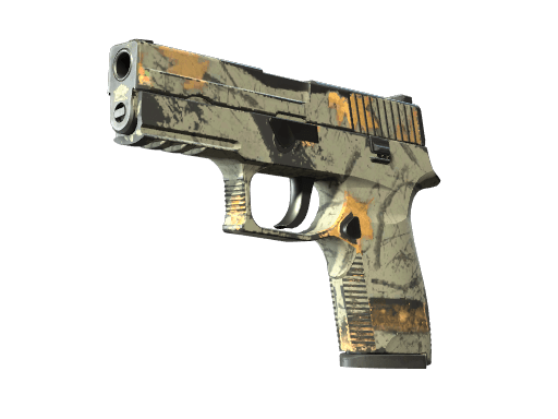 P250 | Modern Hunter (Well-Worn)