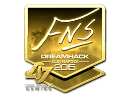 Sticker | FNS (Gold) | Cluj-Napoca 2015