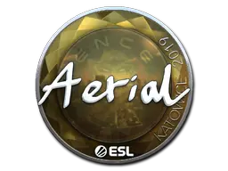 Aerial (Foil)