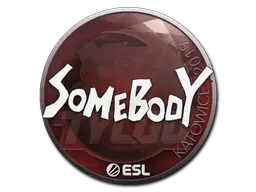 somebody