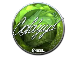 COLDYY1 (Foil)