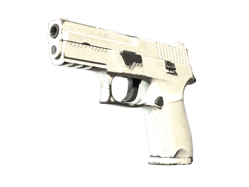 P250 | Whiteout (Well-Worn)