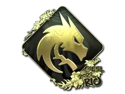 Team Spirit (Gold)