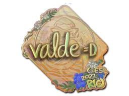 v4lde (Holo)