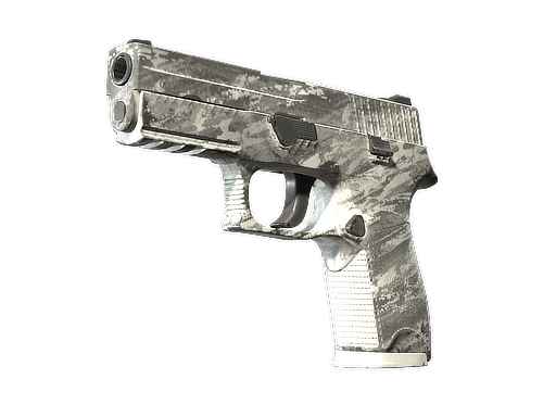 P250 | Sleet (Field-Tested)