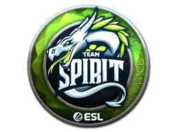 Team Spirit (Foil)