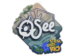 oSee
