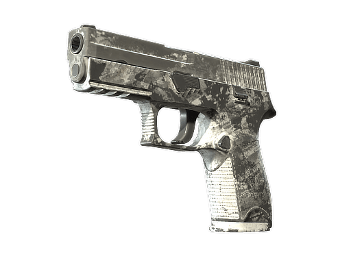 P250 | Sleet (Battle-Scarred)