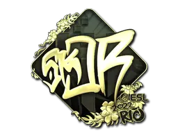 sk0R (Gold)
