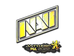 Natus Vincere (Holo)