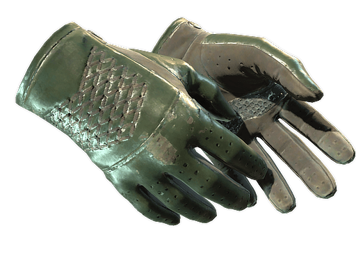 ★ Driver Gloves | Racing Green (Field-Tested)
