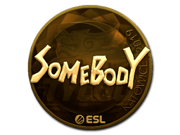 Sticker | somebody (Gold) | Katowice 2019