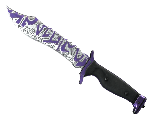 ★ StatTrak™ Bowie Knife | Freehand (Well-Worn)