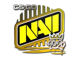 Natus Vincere