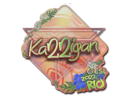 karrigan (Holo)