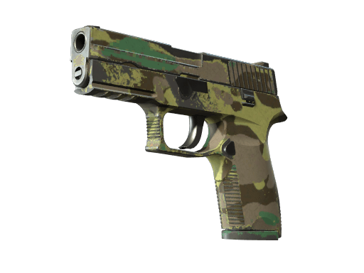 P250 | Boreal Forest (Field-Tested)