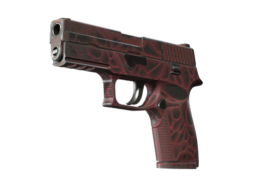 StatTrak™ P250 | Contaminant (Well-Worn)