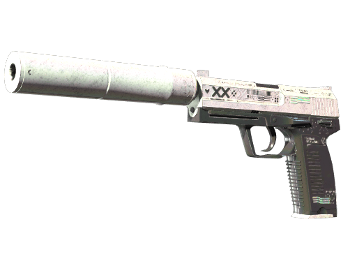 StatTrak™ USP-S | Printstream (Battle-Scarred)