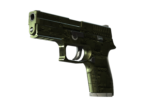 P250 | Iron Clad (Well-Worn)