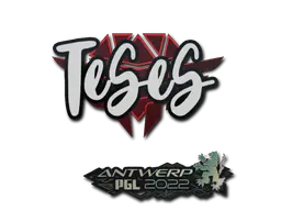 TeSeS