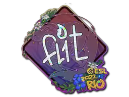 FL1T (Glitter)