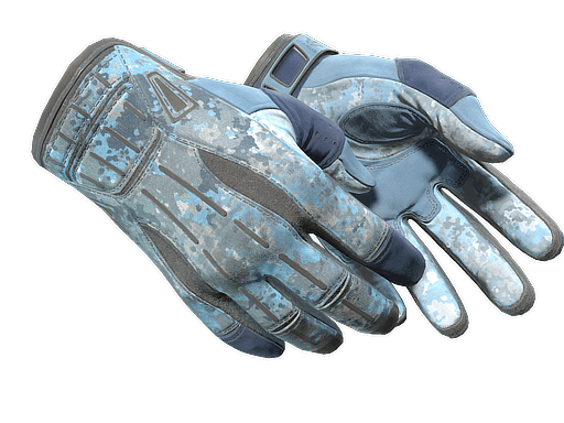 ★ Sport Gloves | Frosty (Well-Worn)