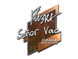 Sticker | flusha | Boston 2018