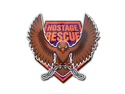 Hostage Rescue
