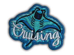 Patch | Cruising Ray