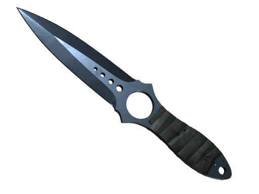 ★ Skeleton Knife | Blue Steel (Well-Worn)