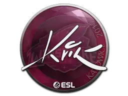 Kvik