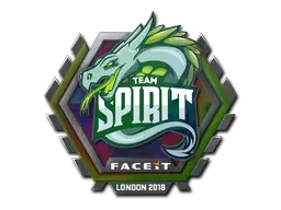 Team Spirit (Holo)