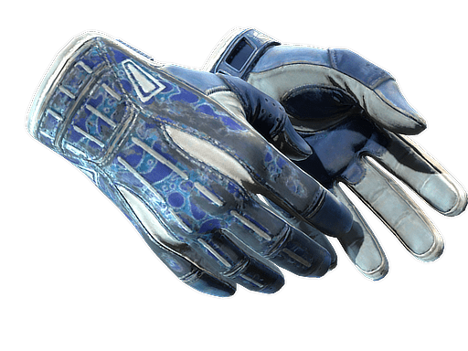 ★ Sport Gloves | Amphibious (Battle-Scarred)