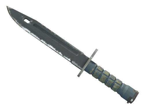 ★ StatTrak™ Bayonet | Night (Well-Worn)