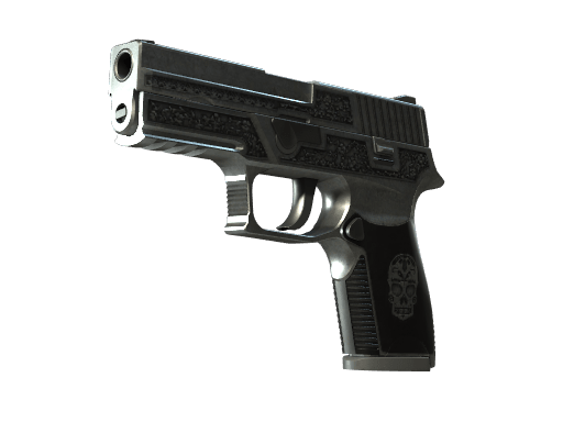 P250 | Cartel (Well-Worn)
