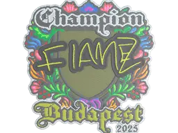 FlameZ (Embroidered, Champion)