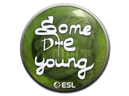 sdy