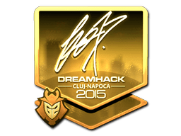 Sticker | fox (Gold) | Cluj-Napoca 2015