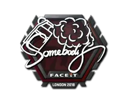 somebody