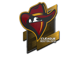 Sticker | Renegades | Boston 2018