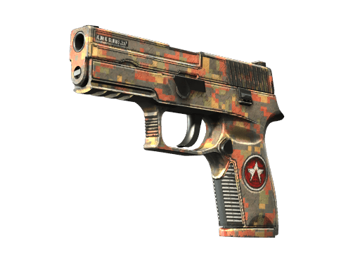 P250 | Red Rock (Well-Worn)