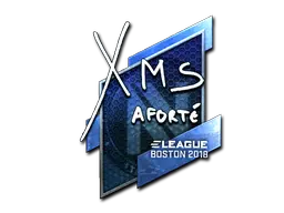 xms (Foil)