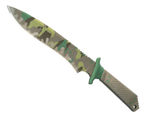 ★ Classic Knife | Boreal Forest (Well-Worn)