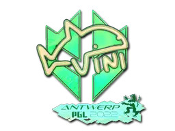 VINI (Holo)