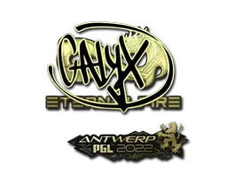 Calyx (Gold)