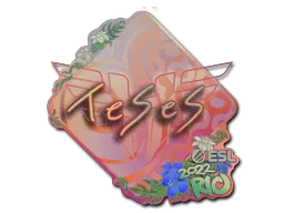 TeSeS (Holo)