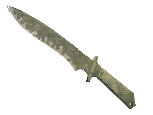 ★ Classic Knife | Safari Mesh (Battle-Scarred)