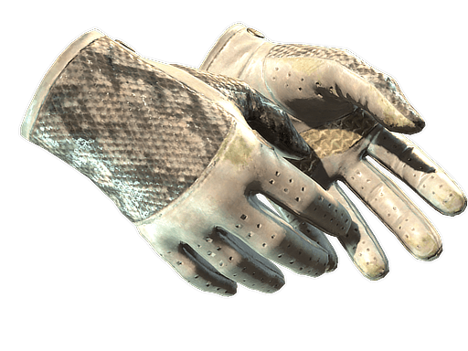 ★ Driver Gloves | King Snake (Field-Tested)