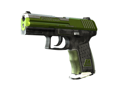 P2000 | Turf (Well-Worn)